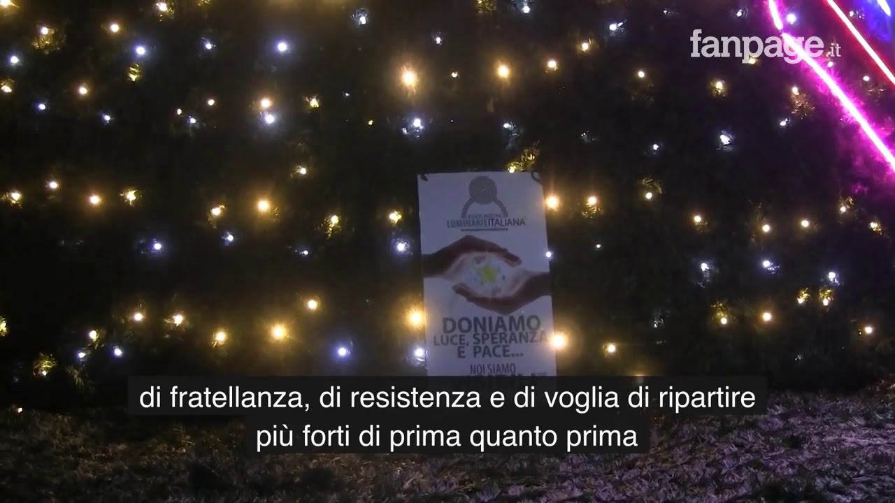 A Napoli l'albero di 14 metri in Piazza Plebiscito   La speranza che il dramma finisca da FANAPAGE