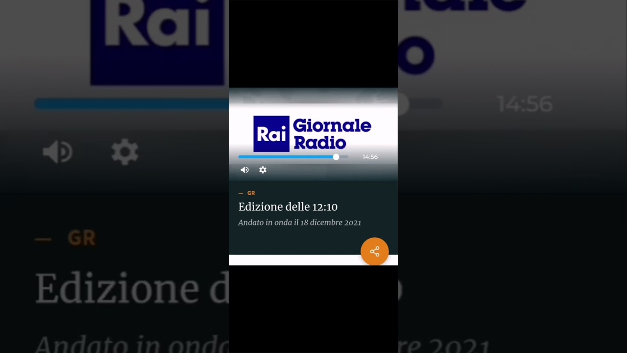 rai giornale radio vincenzo schiavo confesercenti